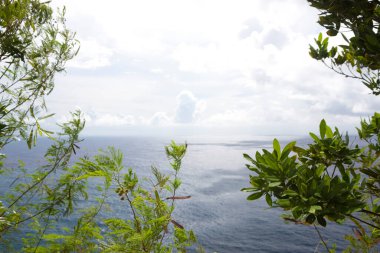 Denizin arka planında yeşil ağaçlar