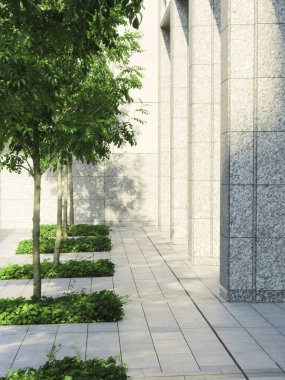 Şehir caddesinde yeşil ağaçlar büyüyor.