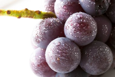 Beyaz arka planda taze üzümler, yakın plan.    