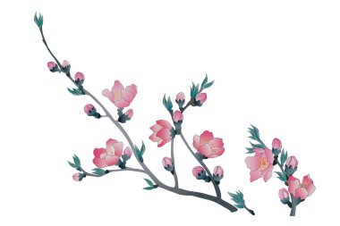 Güzel çiçekler, yakın görüş, bitki konsepti.