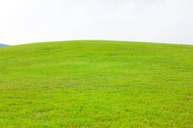 Dağdaki çim tarlası