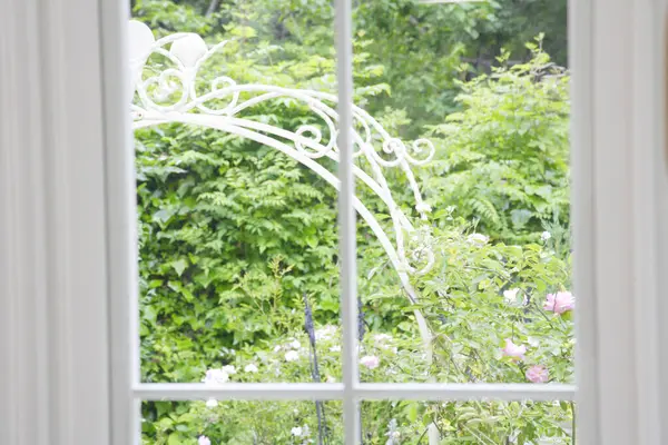 view of flowers in the garden from the window