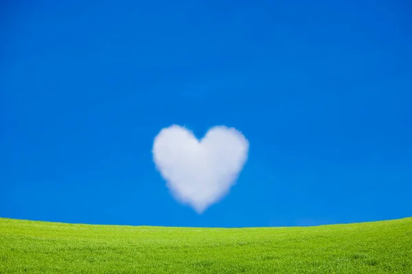 Campo Verde Con Cielo Azul Nube Forma Corazón —  Fotos de Stock
