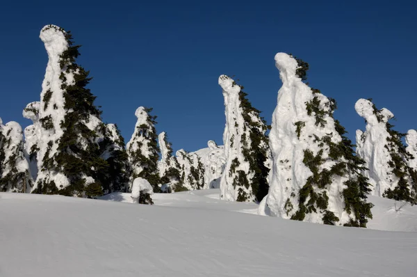 Bela Vista Paisagem Inverno Nevado Neve Coberto Árvores Topo Montanha — Fotografia de Stock