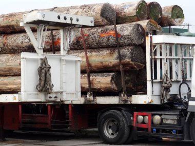 Sokakta kütük yığını olan bir kamyon. 