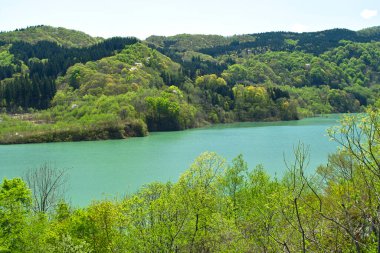 Japonya 'daki güzel dağ gölü manzarası