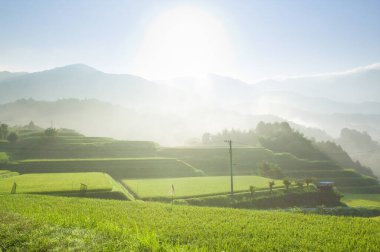 Yeşil tarlaları ve manzaralı dağları olan güzel bir kırsal bölge.              