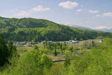 Yazın dağ köyünün havadan görünüşü