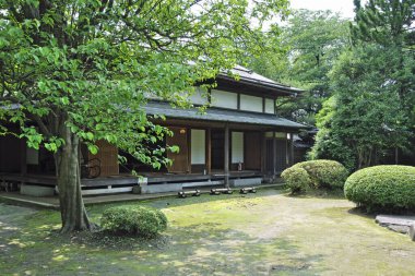 Japonya 'daki güzel, eski Japon tapınağı.