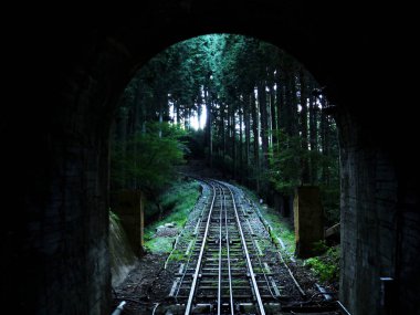 Yeşil orman boyunca uzanan demiryolu manzarası. 