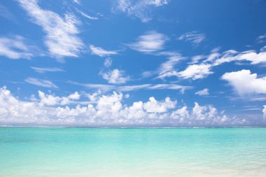 güzel tropikal plaj arka plan manzarası 