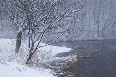 Kış ormanındaki nehir manzarası