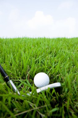 Yeşil çimenli golf sopası.