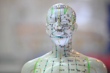 Akupunktur Model Taklit Yakın plan Görünümü