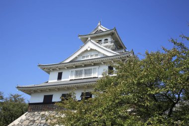 Green City Park 'taki tepedeki antik Osaka Kalesi manzarası 