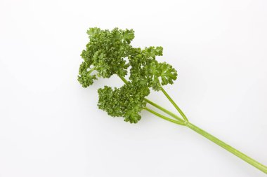 Beyaz arka planda taze yeşil organik maydanoz.