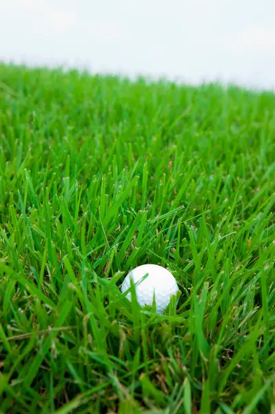 Piłka Golfowa Zielonej Trawie Polu Golfowym — Zdjęcie stockowe