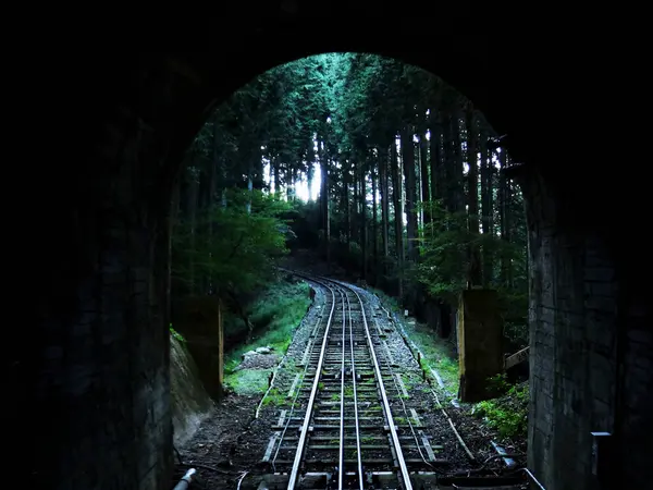 Yeşil orman boyunca uzanan demiryolu manzarası. 