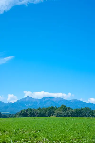 Красивый Пейзаж Зеленого Поля Голубого Неба — стоковое фото