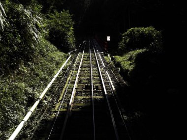 Yeşil orman boyunca uzanan demiryolu manzarası. 