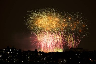 gece gökyüzünde güzel renkli havai fişek 