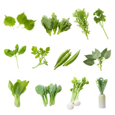 Beyaz arka planda taze sebzeler ve otlar      