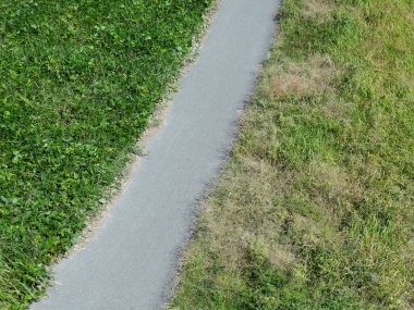 yeşil çimen ve beton yol arka planda