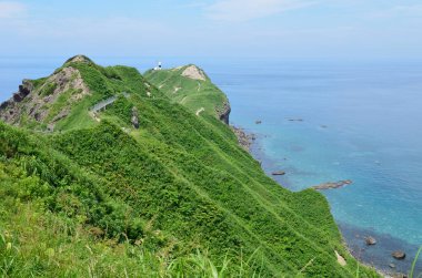 Kayalık sahil manzarası, yeşil çimlerle kaplı uçurum.
