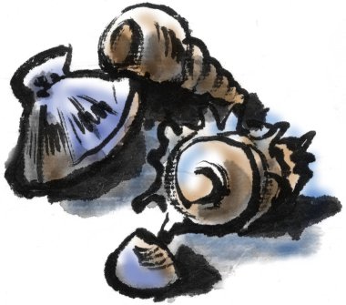 Küçük bir kesesi olan çeşitli deniz kabuklarının renkli bir çizimi.