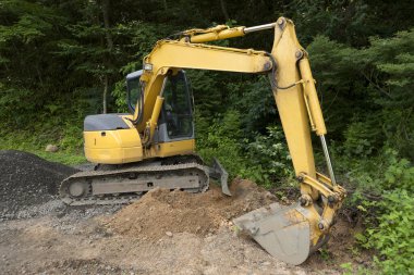 Sarı kazıcı doğa arka planında yolda