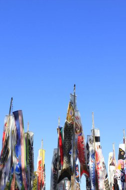 Japon koinobori ya da sazan balıklarının açık hava görüntüsü.                