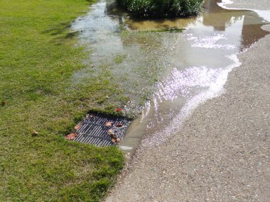 Yağmurdan sonra çimlerde su birikintisi