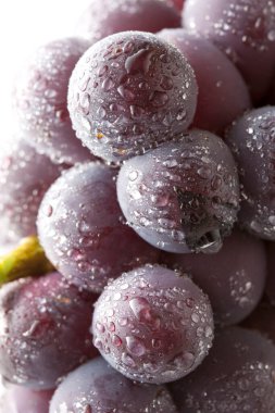 Beyaz arka planda taze üzümler, yakın plan.    