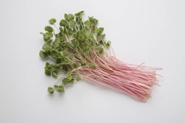 Beyaz arka planda izole edilmiş taze organik pembe turp.