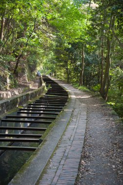 Dar su kanalları boyunca uzanan gölgeli orman yolu