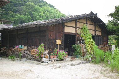 Köydeki eski ahşap evde saksıda çiçekler ve dışarıda yakacak odunlar var. 