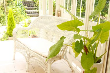 Yeşil yapraklı saksı bitkisi. 