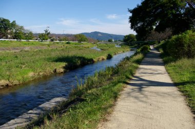 Parktaki nehir manzarası