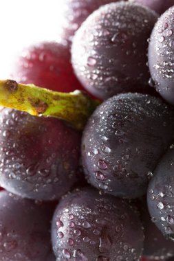 Beyaz arka planda taze üzümler, yakın plan.    