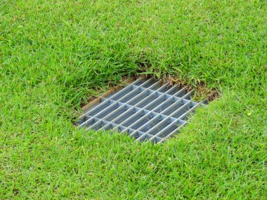 yeşil çimlerin üzerindeki kanal kapağı