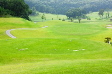 Yeşil çim ile Golf Sahası