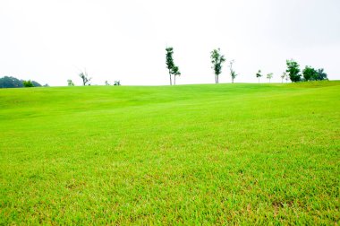 Taze çimenli golf sahası