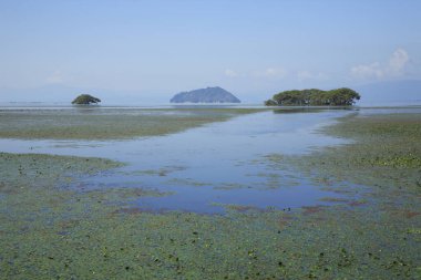 Denizin ve adaların güzel manzarası