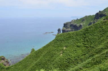 Kayalık sahil manzarası, yeşil çimlerle kaplı uçurum.