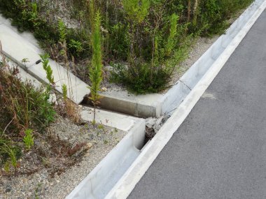 Beton drenaj hendeği asfalt yolda yeşil otlar büyüyor.