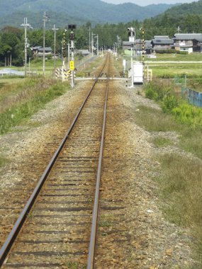 Tarlada yeşil ağaçlı demiryolu rayları