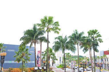 Şehir hayatının kinetik bulanıklığı Japon metropolündeki bu işlek, güneşli sokakta ortaya çıkıyor..