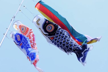 Japon koinobori ya da sazan balıklarının açık hava görüntüsü.                