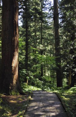 Doğanın güzel manzarası