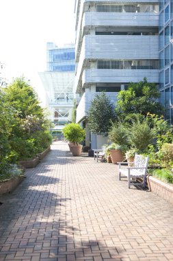 modern şehir mimarisi arka plan görüntüsü 